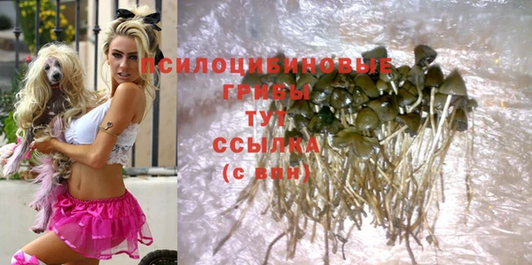 трава Баксан