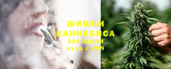 индика Балахна