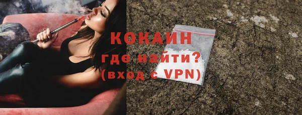 индика Балахна