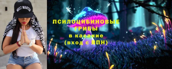 индика Балахна