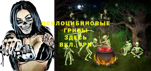 индика Балахна
