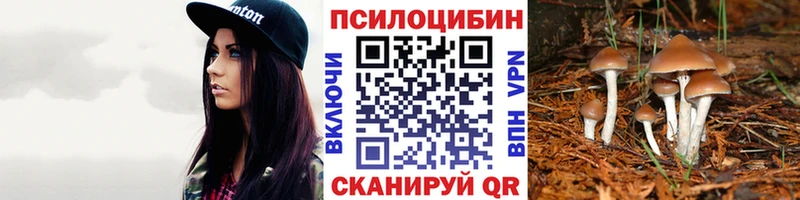 Псилоцибиновые грибы Cubensis  Купить  Почеп 